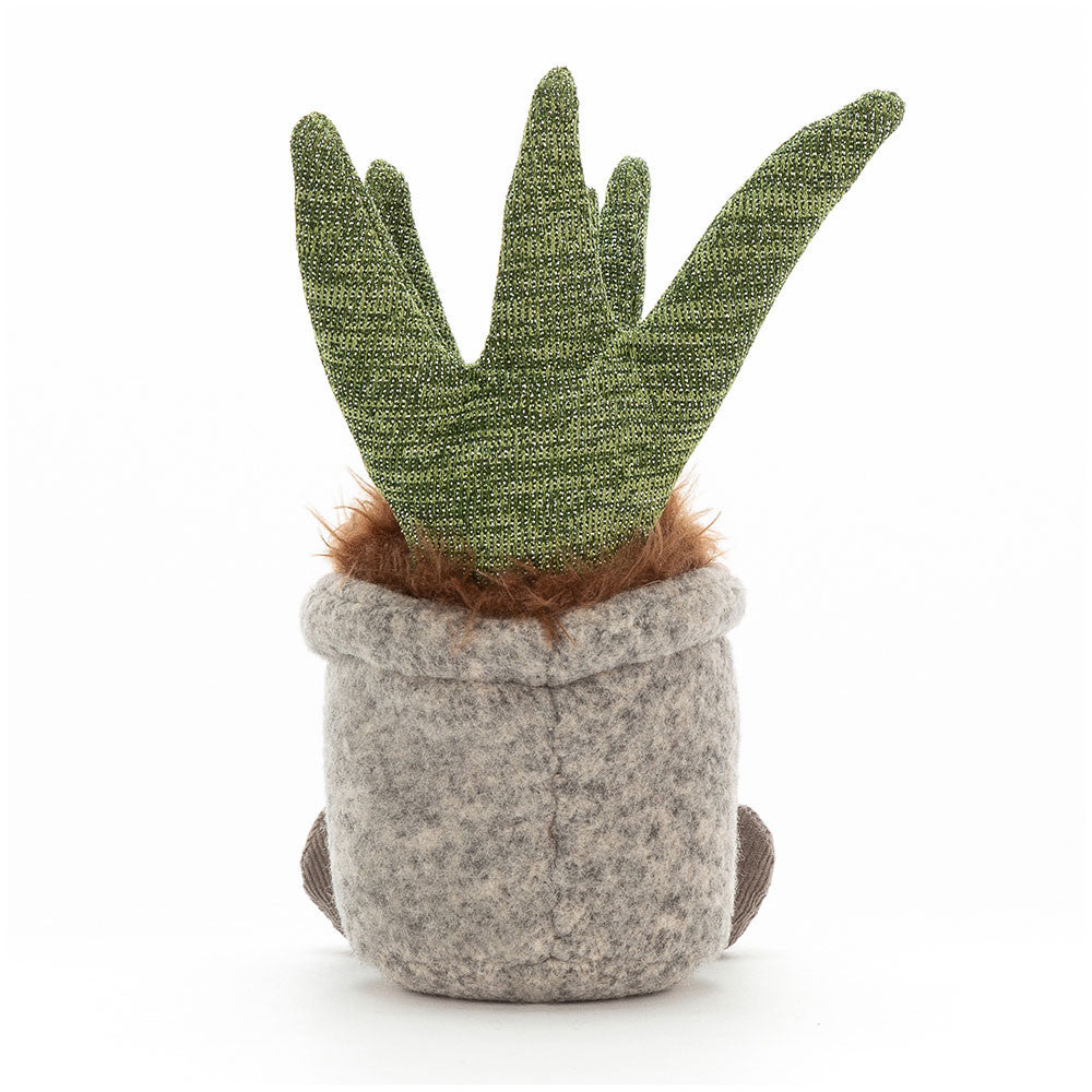 Silly Succulent Aloe