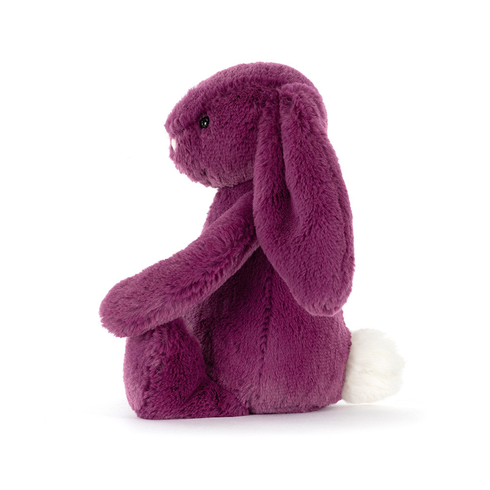 Bashful Allium Bunny